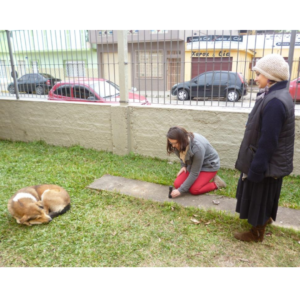 "Introdução a fotografia e camâra obscura”, 2015. aulas participantes do projeto Mais Educação realizado em parceria com Giuliana Bruno em uma escola pública de Pelotas, RS.