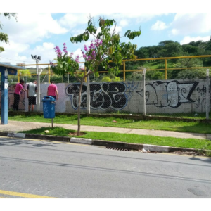 Graphein, projeto de graffiti, Campinas 2017