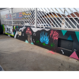 graffiti pronto em conjunto com a artista Stéh Índia